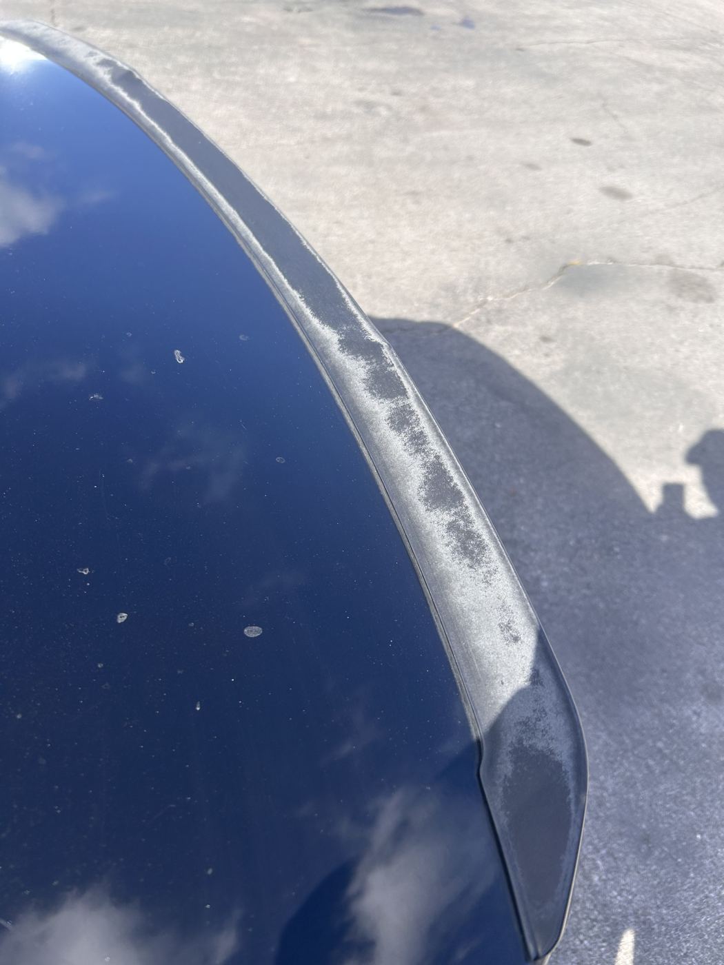Car roof with peeling clear coat